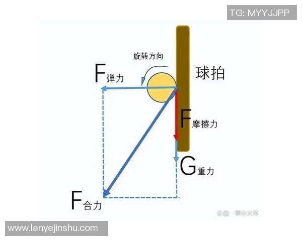 从零起步掌握乒乓球力量技巧与训练方法全解析 从零起步掌握乒乓球力量技巧与训练方法全解析