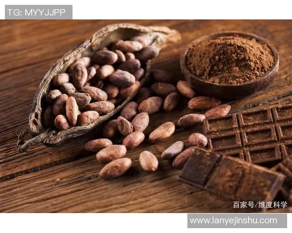 足球明星们的饮品偏好揭秘小饮料如何成为他们的能量来源 足球明星们的饮品偏好揭秘小饮料如何成为他们的能量来源