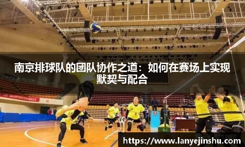 南京排球队的团队协作之道：如何在赛场上实现默契与配合