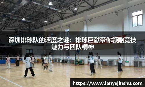 深圳排球队的速度之谜：排球巨献带你领略竞技魅力与团队精神